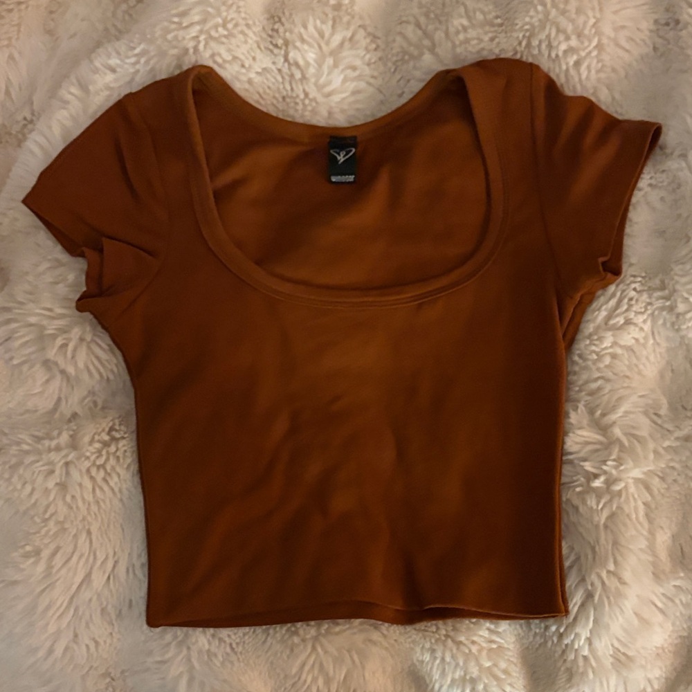 Windsor Burnt Orange Crop Top